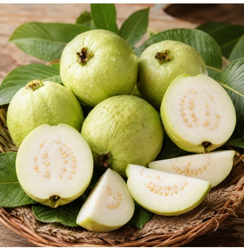 *Semi-Ripe White Guava (Satva Farm)